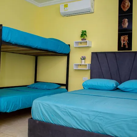 Comfort House-2